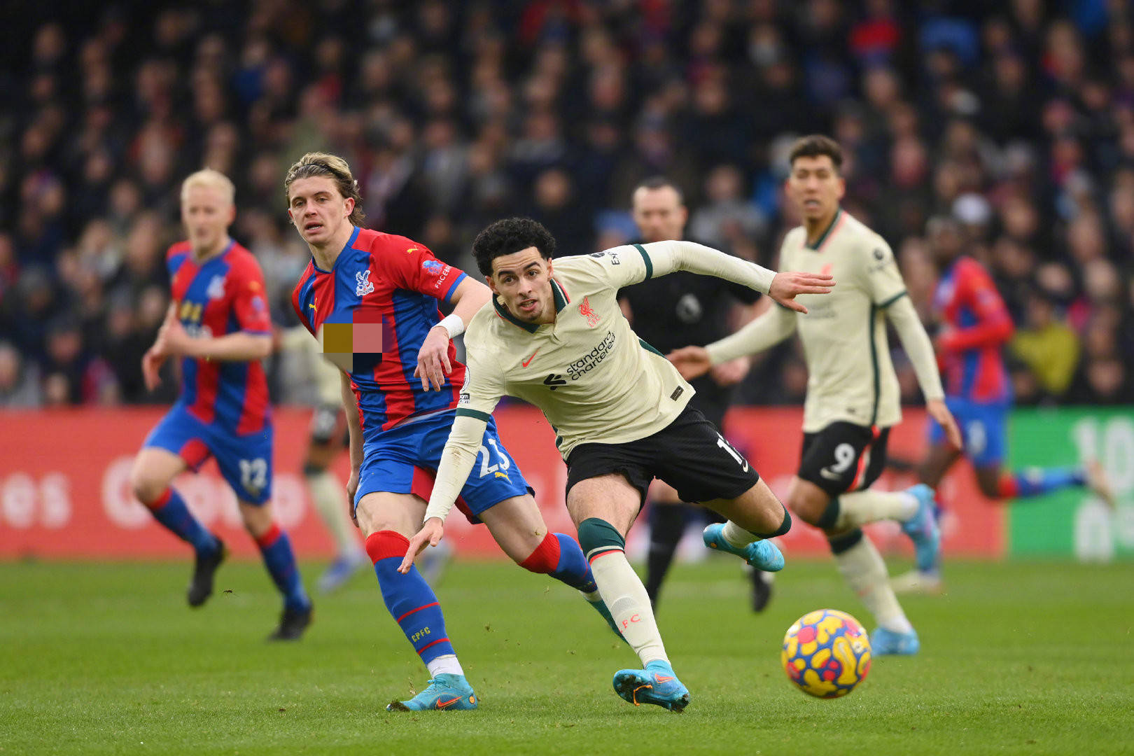 里带来不可 里带来不可