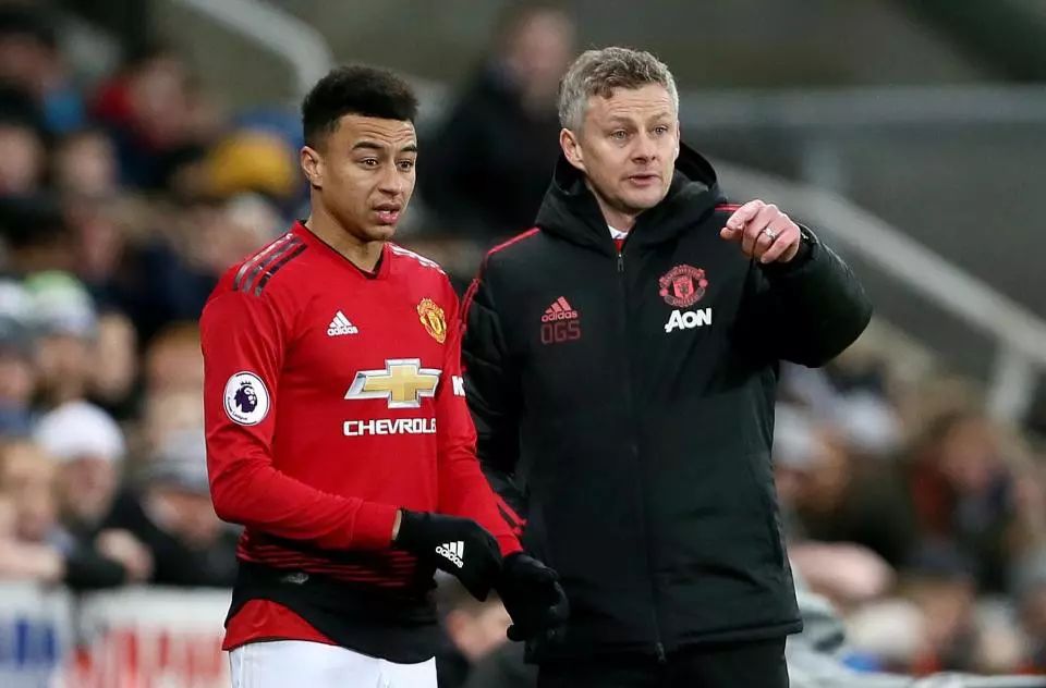 的主力成员 的主力成员